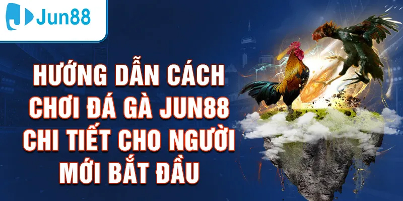 Chiến thuật chơi đá gà tại Jun88 dễ dàng thắng lớn