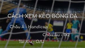 Nắm rõ về cách coi kèo bóng đá phổ biến và thú vị