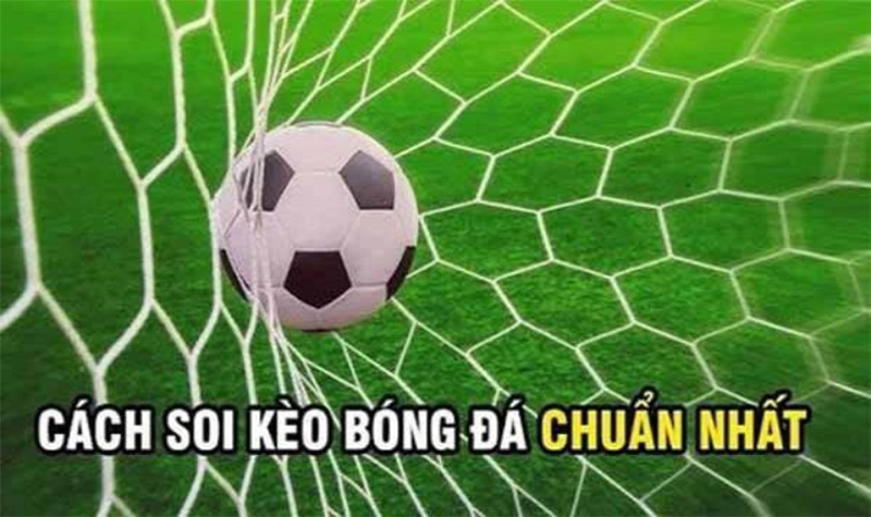 Vài lưu ý cơ bản khi thực hiện soi kèo thẻ phạt hiệu quả