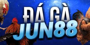 Tìm hiểu sơ bộ về đá gà Jun88 thế nào?