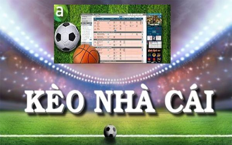 Khám phá soi kèo nhà cái chính xác nhất từ cao thủ