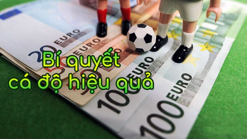 Kham sphas về cá độ bóng đá hiệu quả