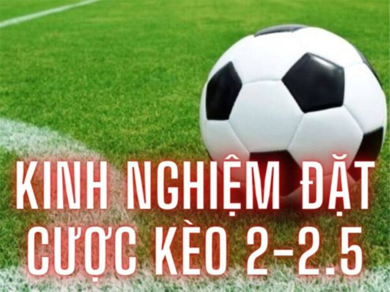 Chuyên gia bật mí cách soi kèo Tài Xỉu 2.-2.5 hiệu quả